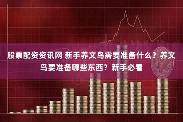 股票配资资讯网 新手养文鸟需要准备什么？养文鸟要准备哪些东西？新手必看